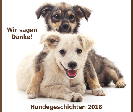 Hundegeschichten 2018 Bei CaniVaris!